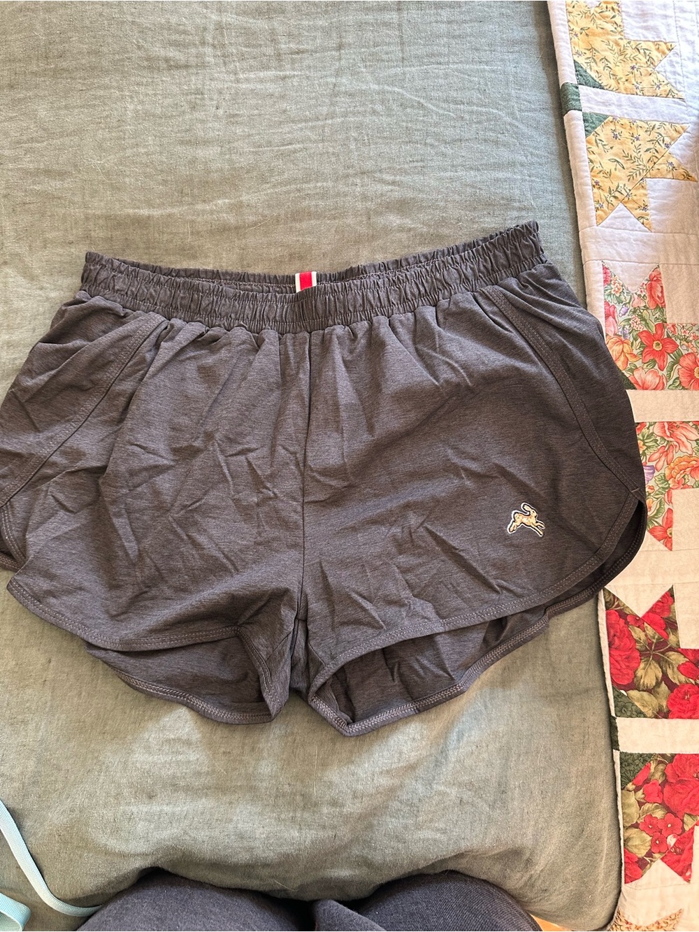 Tracksmith shorts